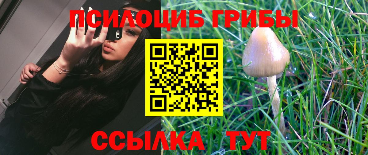 Галлюциногенные грибы GOLDEN TEACHER Рузаевка